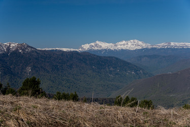 Similar image 17819150