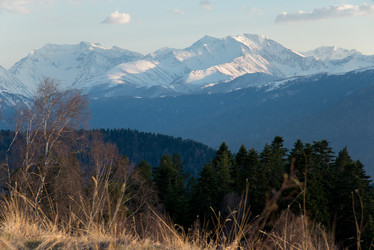 Similar image 17819168