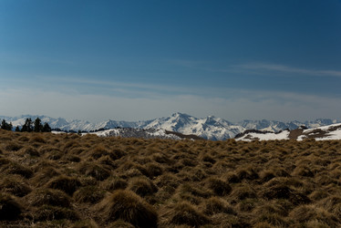 Similar image 17819141