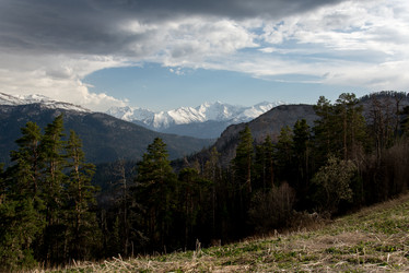 Similar image 17819172