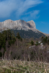 Similar image 17819200