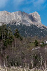 Similar image 17819225