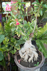 Similar image 17639650