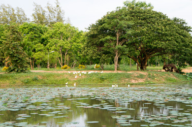 Similar image 17594040