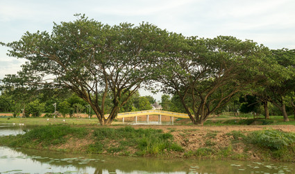 Similar image 17627439