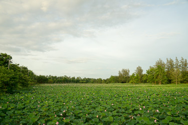 Similar image 17642995