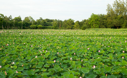 Similar image 17643318