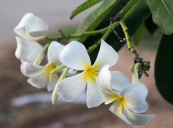 Similar image 17643335