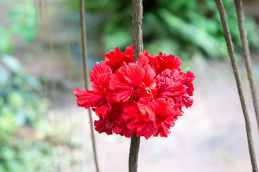 Similar image 17645389