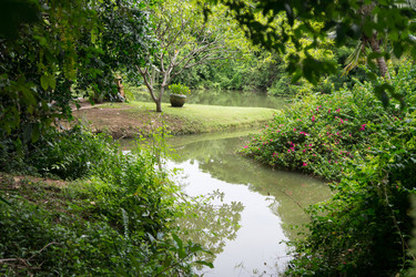 Similar image 17645404