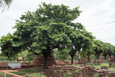 Similar image 17643101