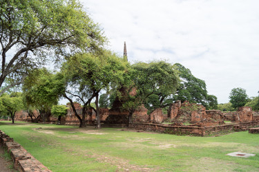 Similar image 17645418