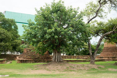 Similar image 17643479