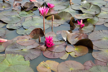 Similar image 17627066