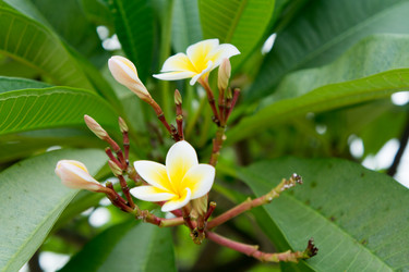 Similar image 17638703