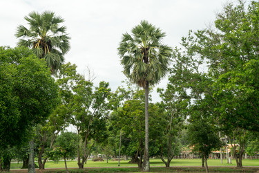 Similar image 17641187