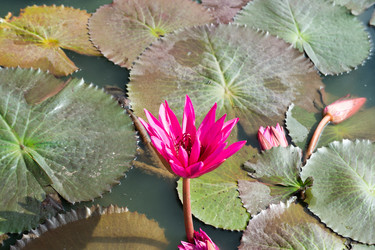 Similar image 17643590