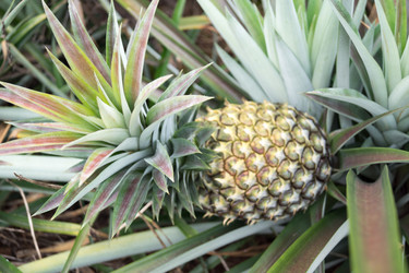 Similar image 17638736