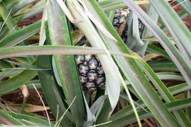 Similar image 17639068