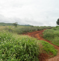 Similar image 17639754