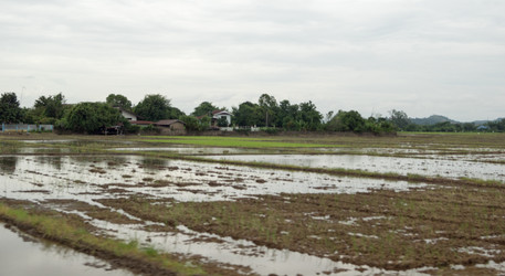 Similar image 17641209