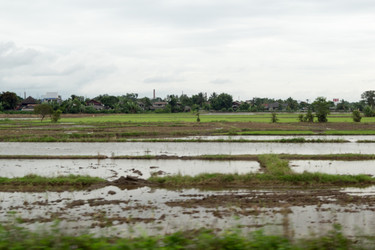 Similar image 17641369