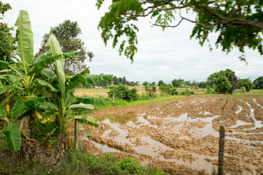 Similar image 17641496