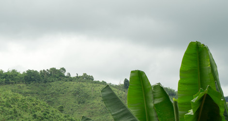 Similar image 17642379