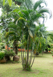 Similar image 17641437