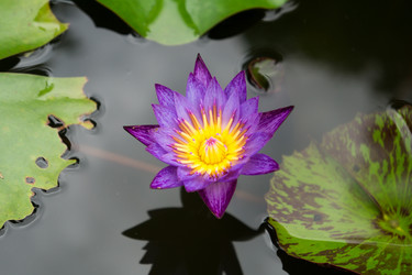 Similar image 17641474