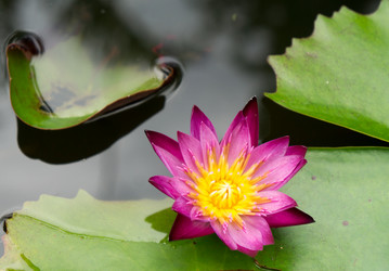 Similar image 17641562