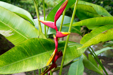 Similar image 17641596