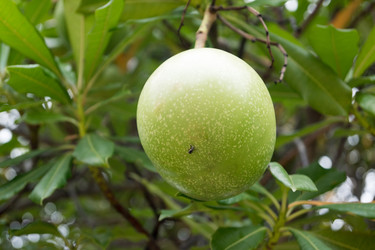 Similar image 17594050