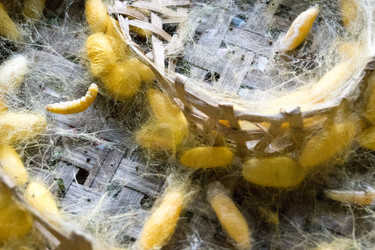 Similar image 17646089