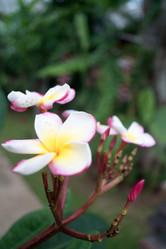 Similar image 17639092