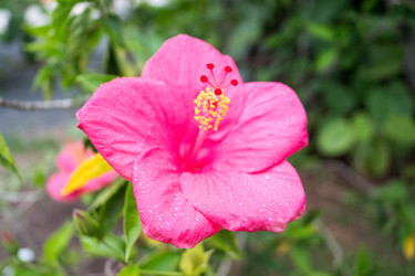 Similar image 17639113