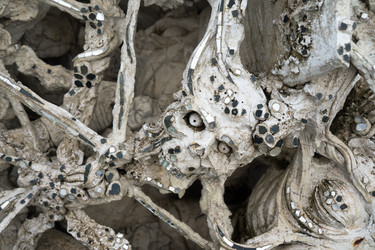 Similar image 17639828