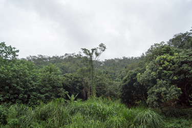 Similar image 17643735