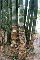 Similar image 17643753