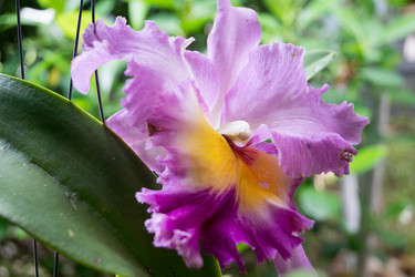 Similar image 17646096