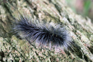 Similar image 17641662