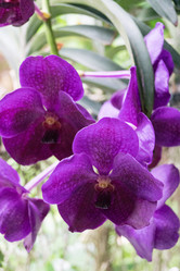 Similar image 17642438