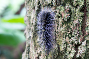 Similar image 17645104