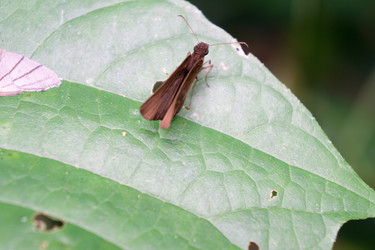 Similar image 17645139