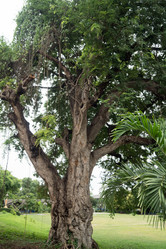 Similar image 17639896