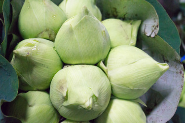 Similar image 17646220