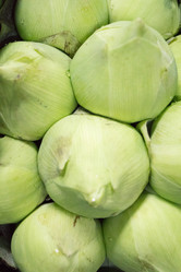 Similar image 17646253