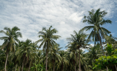 Similar image 17646100