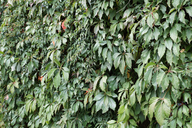 Similar image 17638873