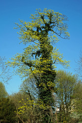 Similar image 17638899